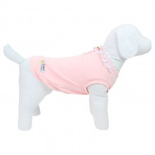 regata para pet
